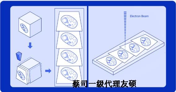 安阳蔡司安阳扫描电镜