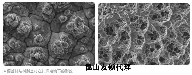 安阳蔡司安阳扫描电镜